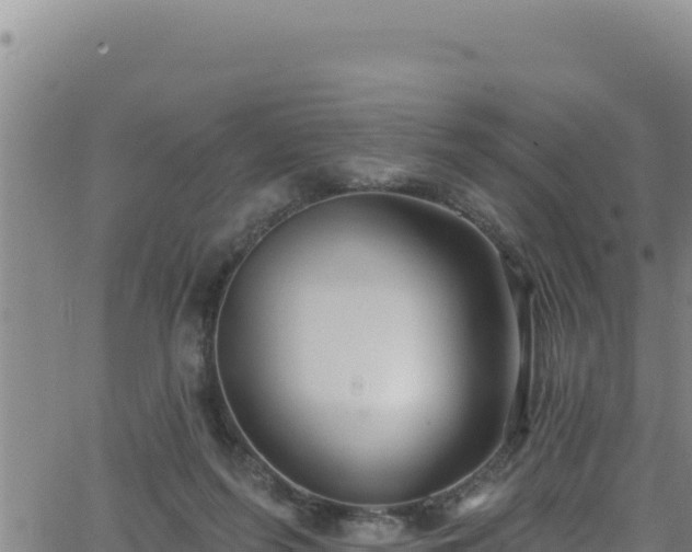 X0000062140215200512161226