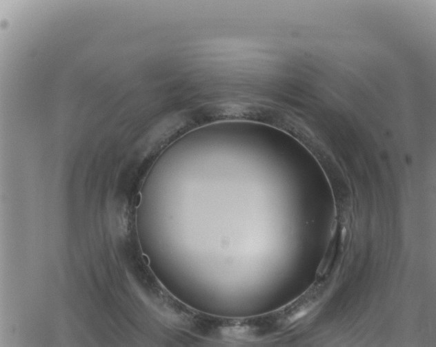 X0000062140216200512161226