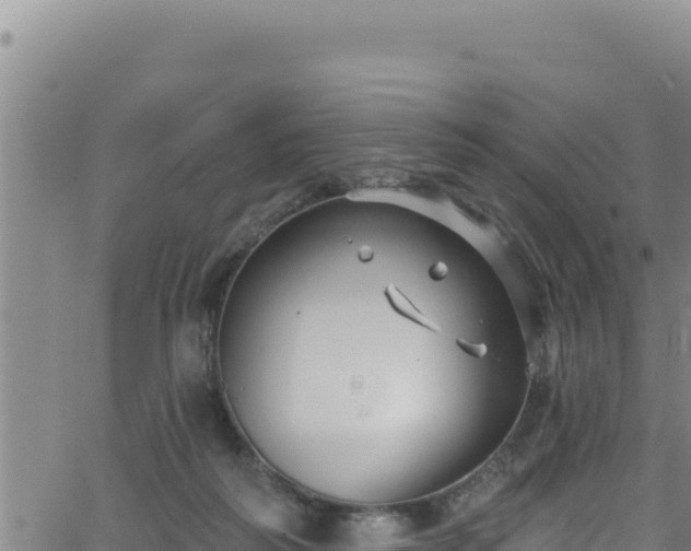 X0000062140218200512161226