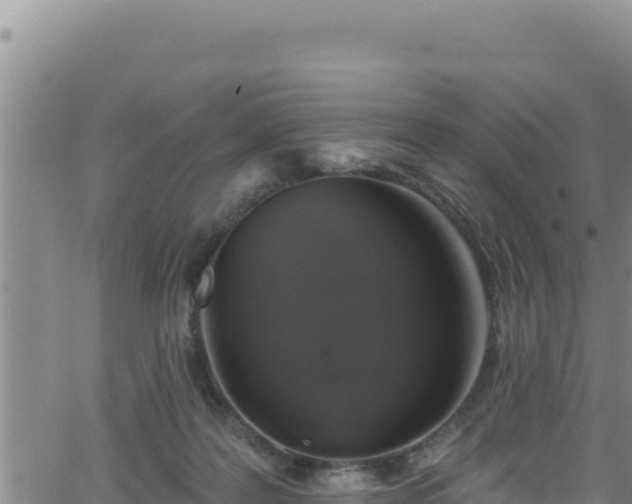 X0000062140219200512161226