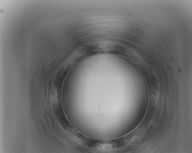 X0000062140220200512161226