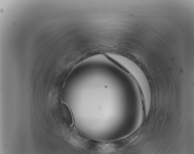 X0000062140221200512161226