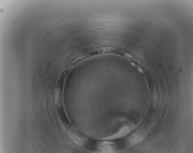 X0000062140222200512161226