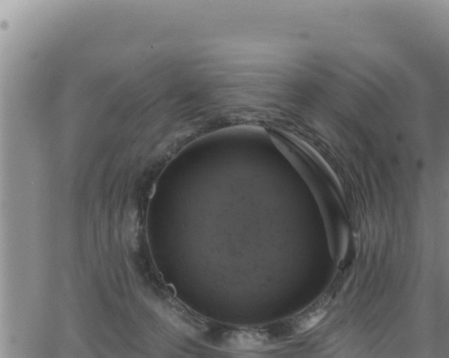 X0000062140223200512161226