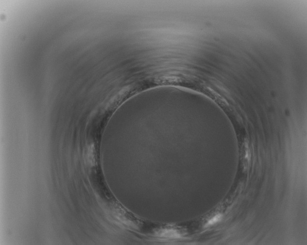 X0000062140224200512161226