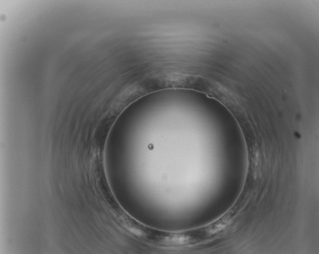 X0000062140225200512161226