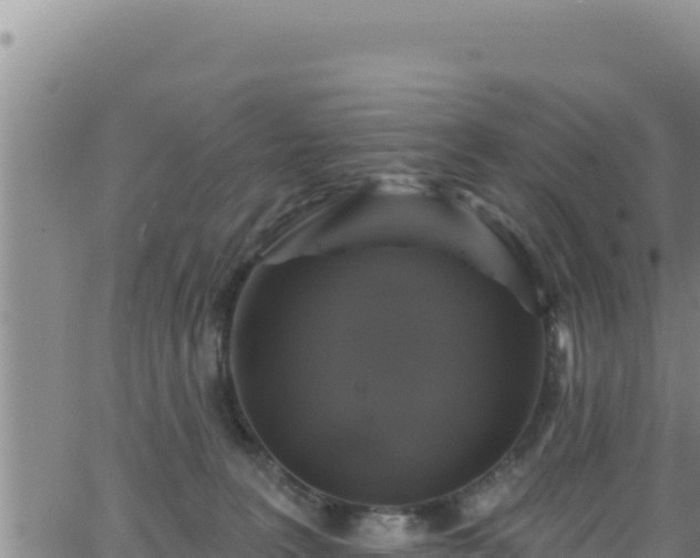 X0000062140227200512161226