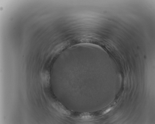 X0000062140228200512161226