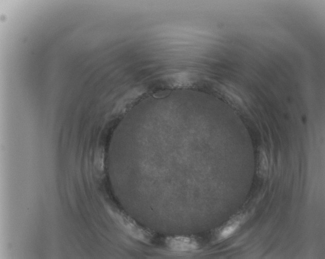 X0000062140230200512161226