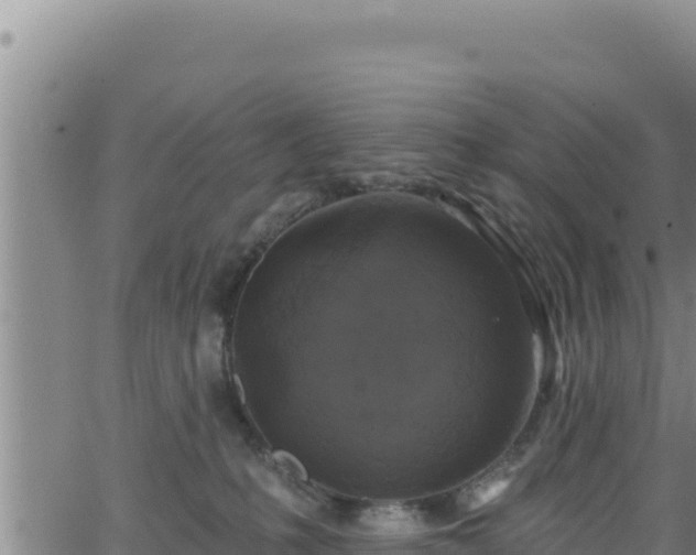 X0000062140231200512161226