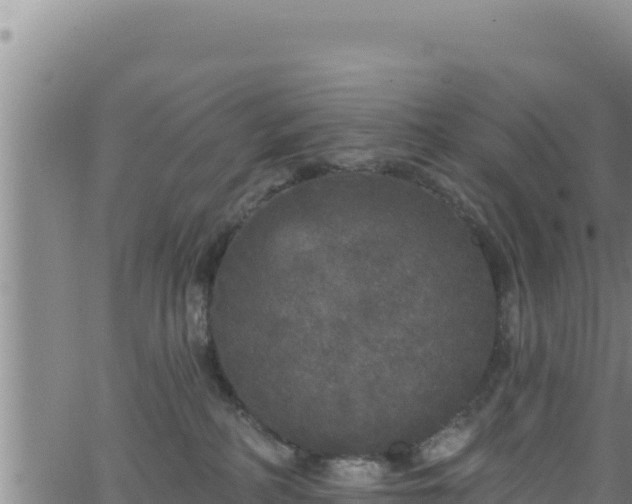 X0000062140234200512161226