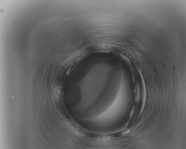 X0000062140235200512161226