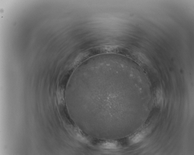 X0000062140236200512161226