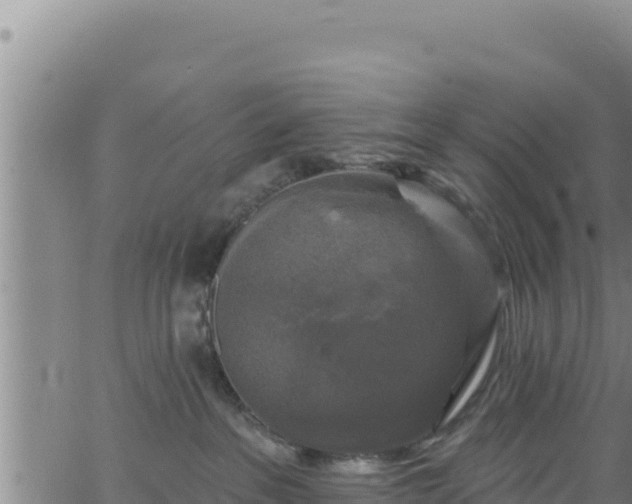 X0000062140237200512161226