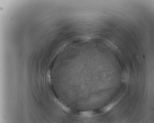 X0000062140238200512161225