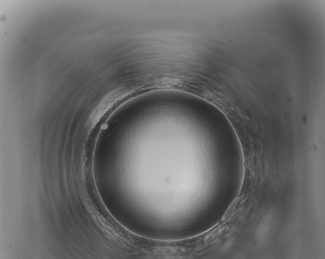 X0000062140242200512161225