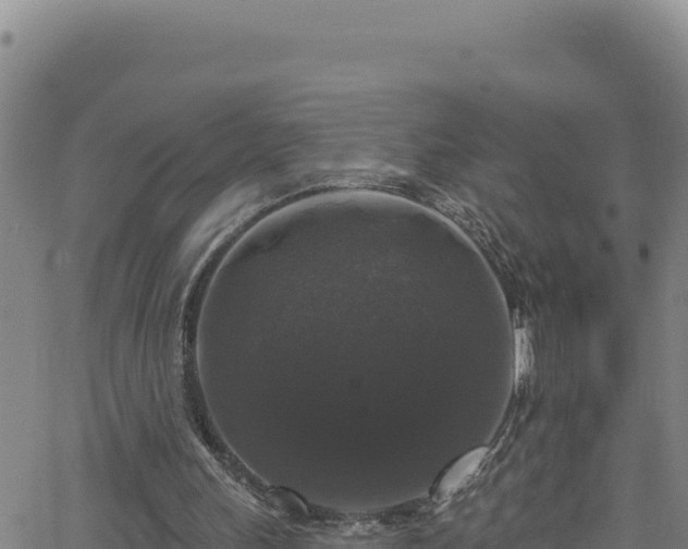 X0000062140243200512161225