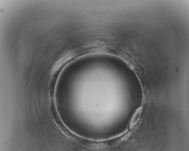 X0000062140245200512161225