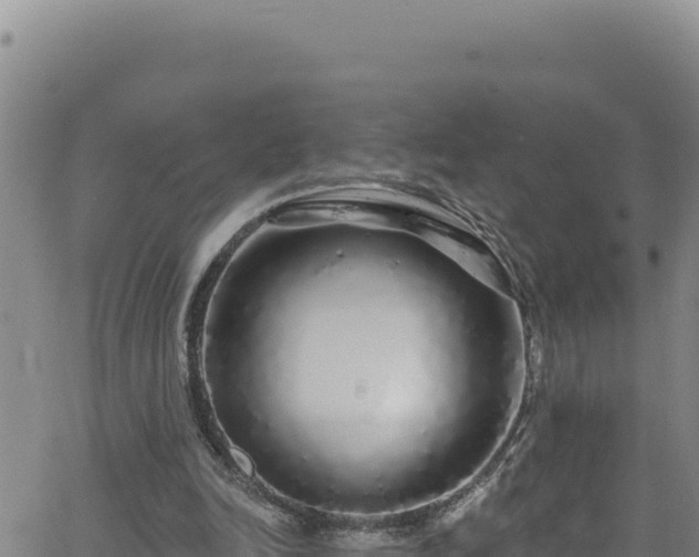 X0000062140246200512161225