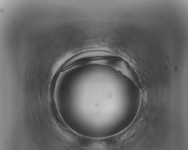 X0000062140248200512161225