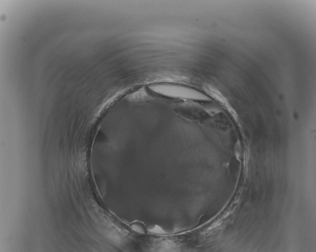 X0000062140249200512161225