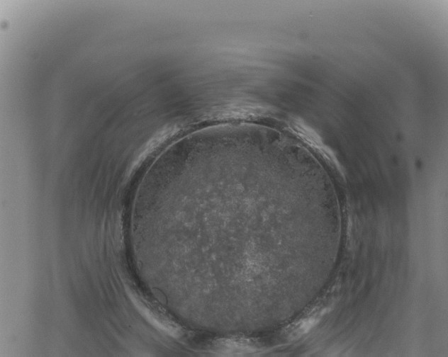 X0000062140250200512161225