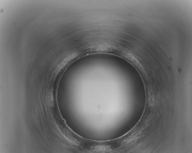 X0000062140251200512161225