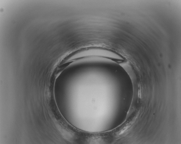 X0000062140252200512161225