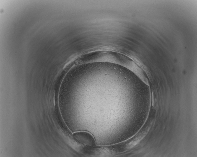 X0000062140253200512161225