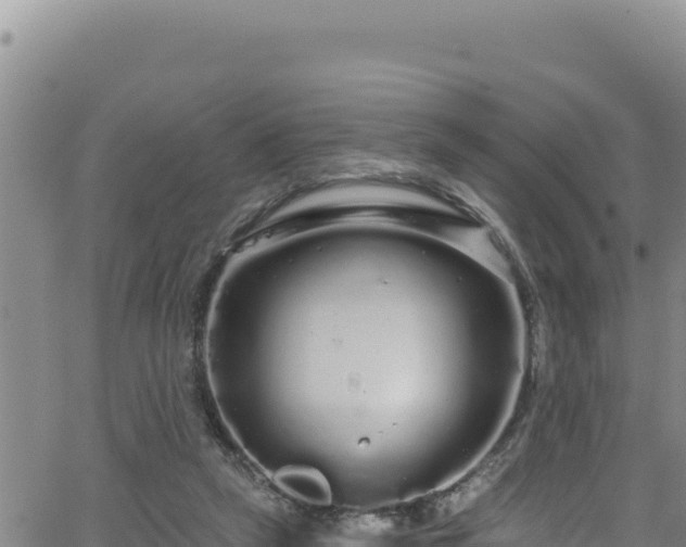 X0000062140257200512161225