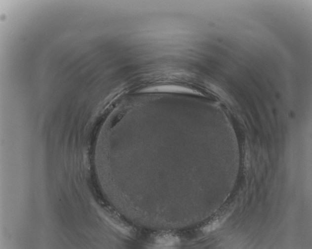 X0000062140258200512161225