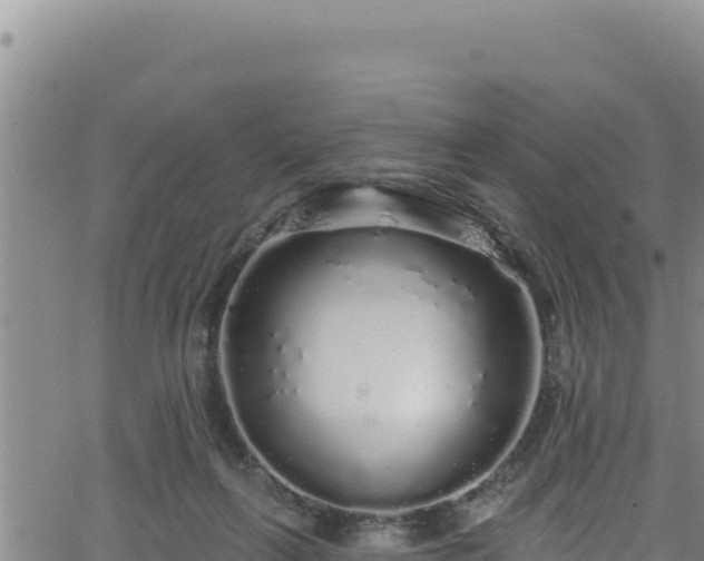 X0000062140263200512161225