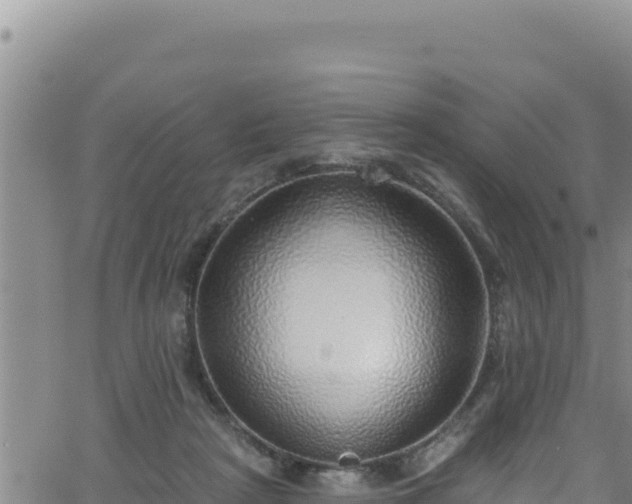 X0000062140265200512161225