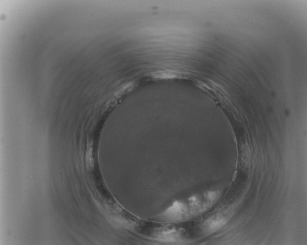 X0000062140267200512161225