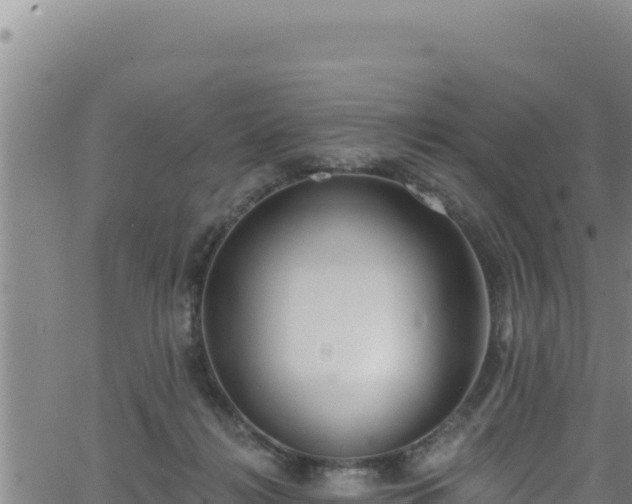 X0000062140268200512161225