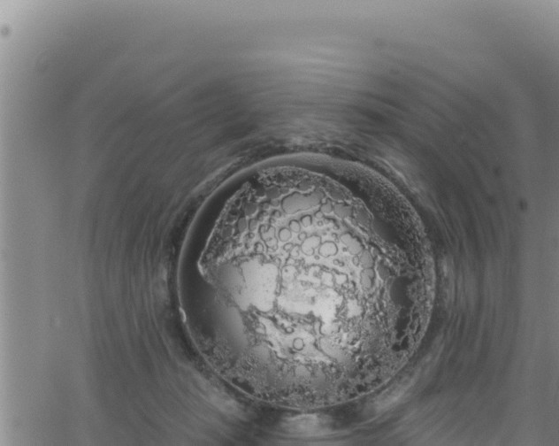 X0000062140269200512161225