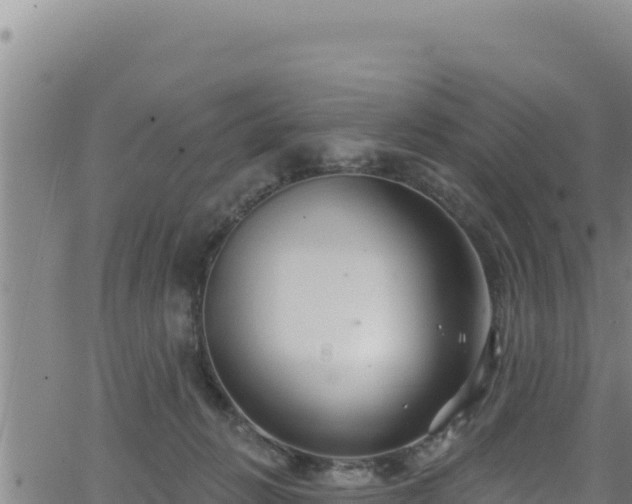 X0000062140270200512161225