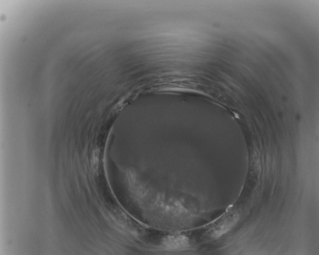 X0000062140271200512161225