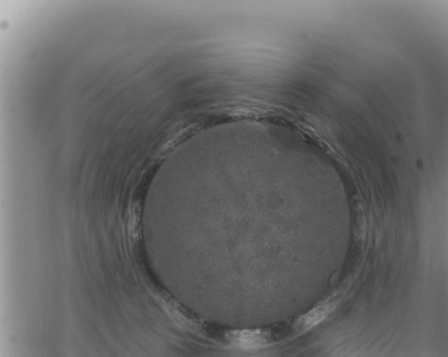 X0000062140273200512161225