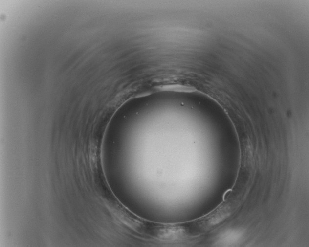 X0000062140274200512161225