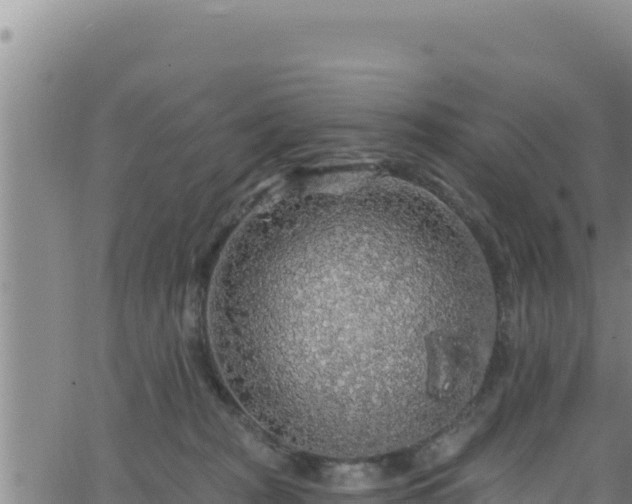 X0000062140277200512161225