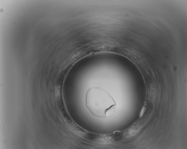 X0000062140278200512161225