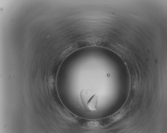 X0000062140279200512161225