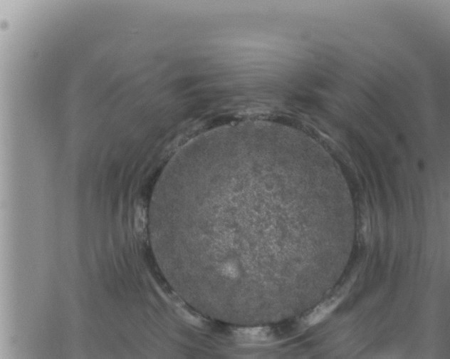 X0000062140281200512161225