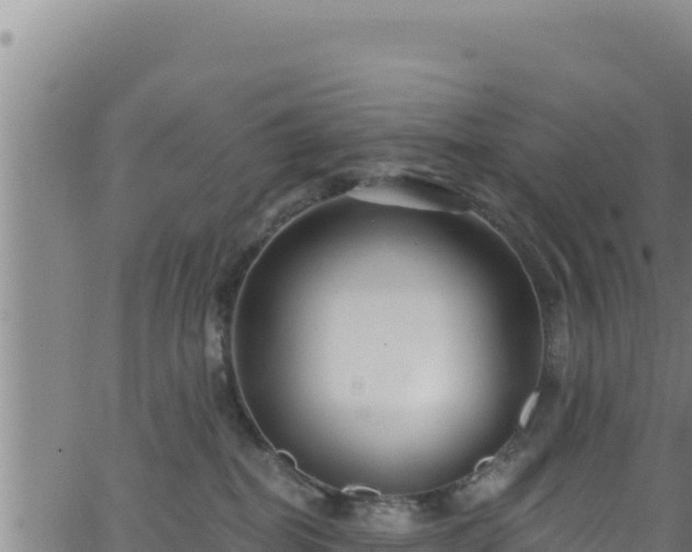 X0000062140282200512161225