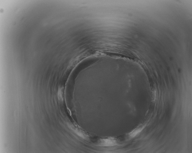 X0000062140286200512161225