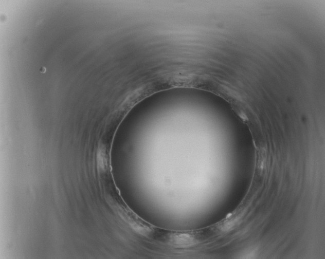 X0000062140287200512161225