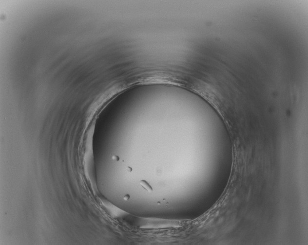 X0000062140289200512161225