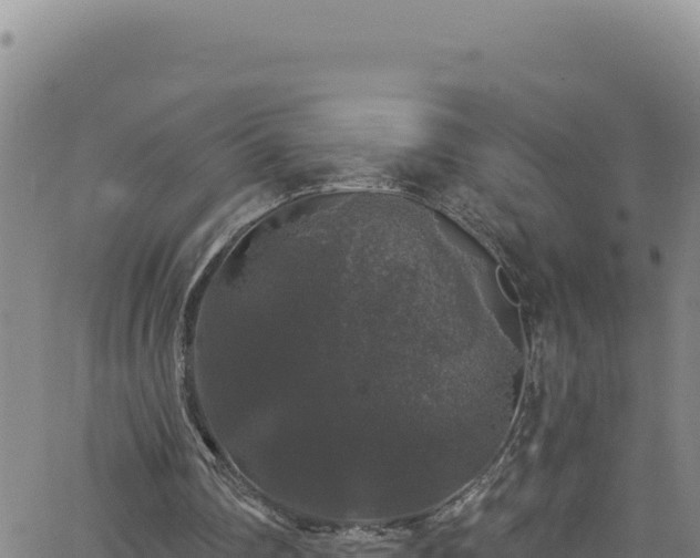 X0000062140290200512161225