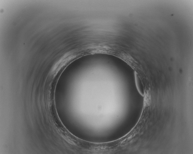 X0000062140291200512161225